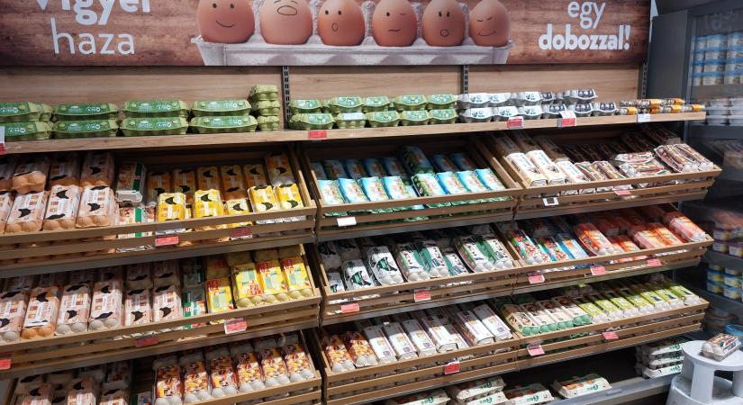 Ketrecesről alternatívra