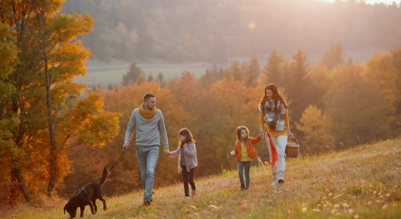 Nemzeti egyetértés a kormány intézkedései mögött