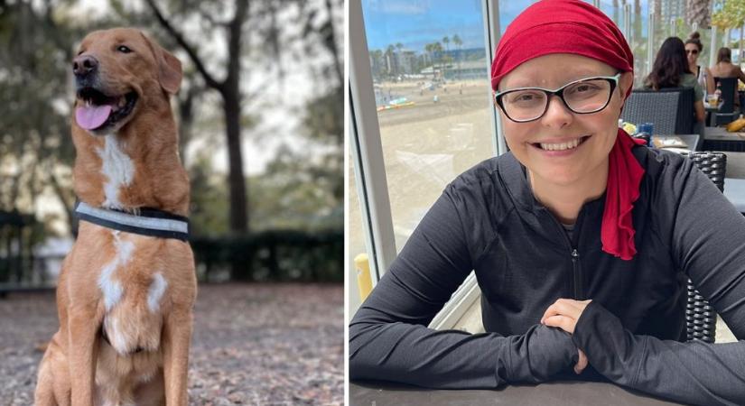 Kutyája fura viselkedése mentette meg egy amerikai nő életét, akinél mellrákot diagnosztizáltak