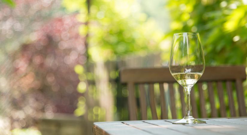 Vallott a magyar borász: lerántotta a leplet a híres borvidék titkáról