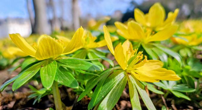 Egy csapásra megjött a tavasz