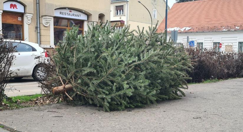 Utcára hajított fenyők közt sétálhatunk Kaposváron – néhány helyen később értek vízkereszthez