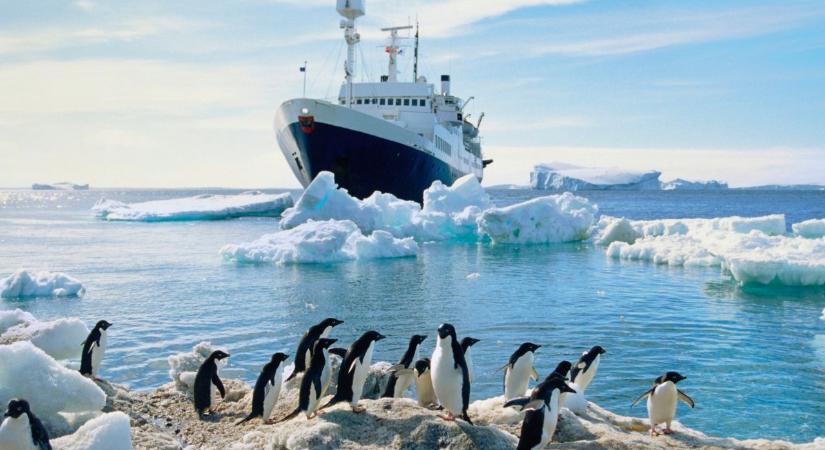 Több száz méter mélyre eresztettek kamerát az Antarktisz jeges vizébe. Ami hirtelen a lencse elé úszott, annak elvileg nem szabadna ott lennie