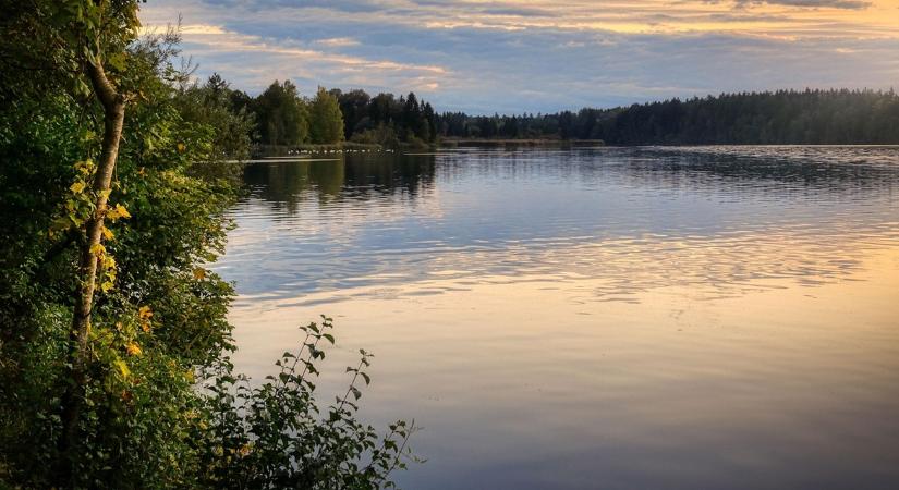 Mérgezés vagy vaklárma? Azonnali mentőakció indult egy népszerű tó szennyezése miatt