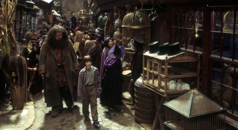 A filmek újabb mellőzött figurája lehet benne a Harry Potter remake-jében