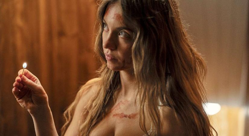 A The Housemaid – A téboly otthona: egy thriller, ami olvasási kedvet ébreszt