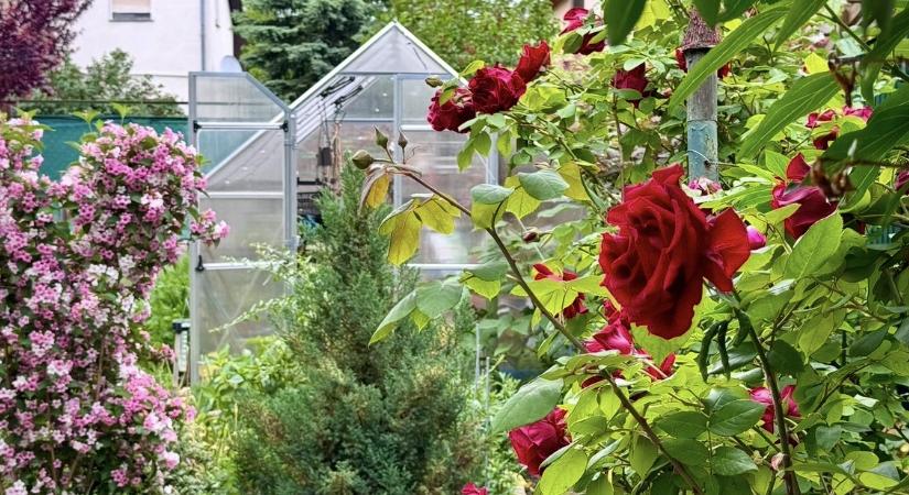 "A jó élet kulcsa sokszor ott rejlik a kabátunkban, csak jó zsebben kell tapogatni."