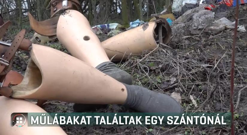 Bizarr látvány a bokrok alatt – vadászok bukkantak több tucat műlábra