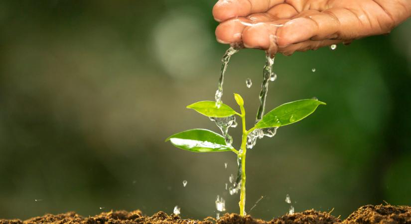 Öntöznél a földeken? Itt van minden, amit a vízdíjakról tudni érdemes