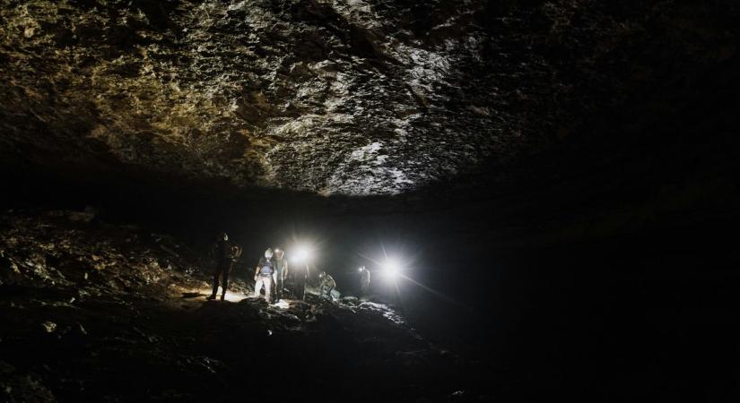 Meglepő számadat: több mint kétezer denevér telel a Bakonyban