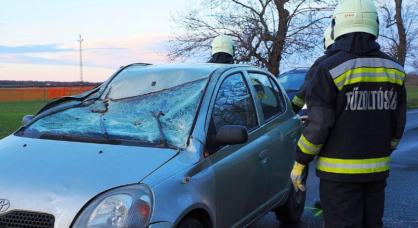 Letört faág okozott súlyos balesetet Csongrád közelében, két sérültet azonnal kórházba szállítottak (galéria)