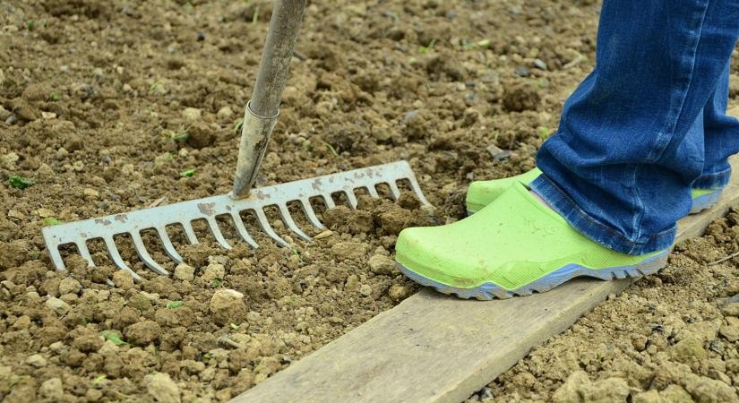 A kert 10 legfontosabb döntése tél végén – ezen múlik a tavasz