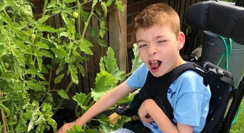 "6 hetes korában köhögni kezdett a kisfiam - agykárosodást okozott nála"