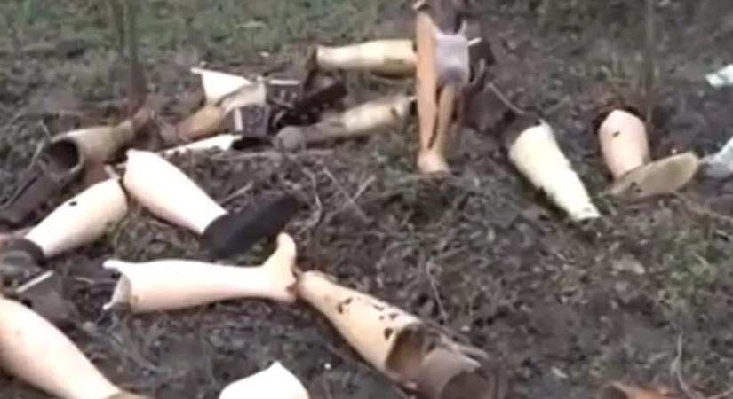 30-40 szétszórt műlábat találtak vadászok Tiszajenő határában