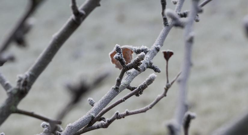 3 napos időjárás-előrejelzés: Veszélyben a rügyek, -6 fokos hajnalok jönnek