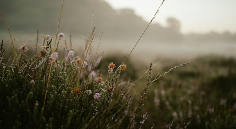 Időjárás 2026. február 24.: Az enyhe időt heves széllökések és néhol csapadék kíséri