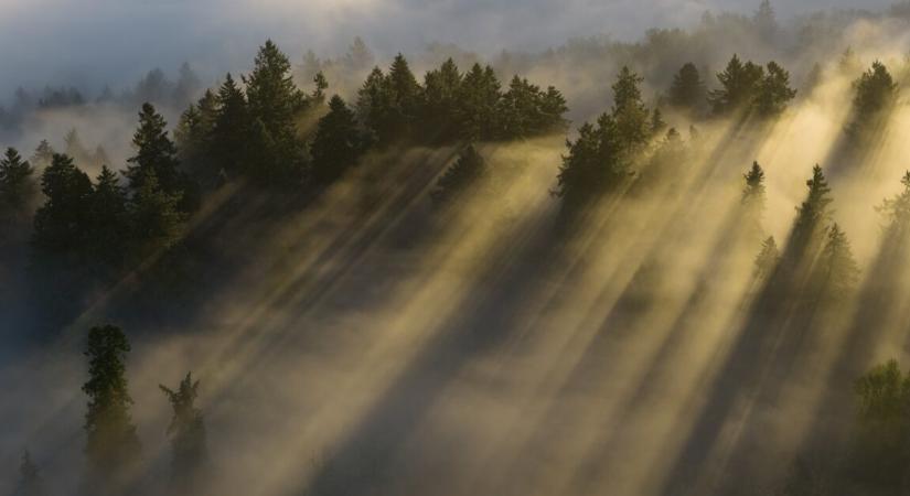 Bejelentést tettek a hatóságok – így találták meg az eltűnt 25 éves férfit
