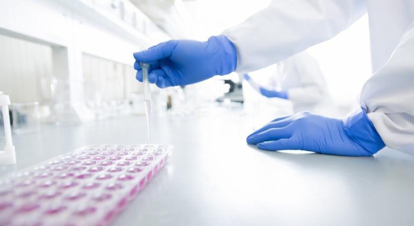 Egyszerű vérvizsgálat jósolhatja meg az Alzheimer‑kór kezdetét