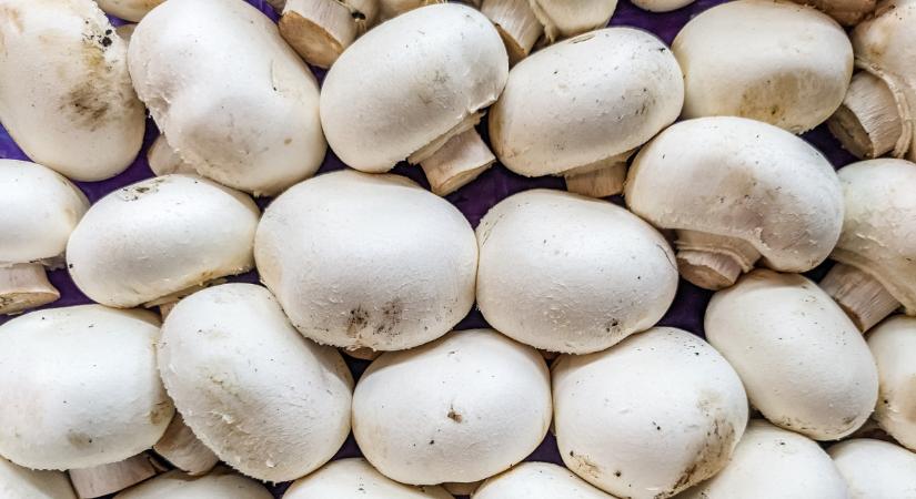 Ömlik ki ez a szuperélelmiszer Magyarországról: külföldön köt ki a java