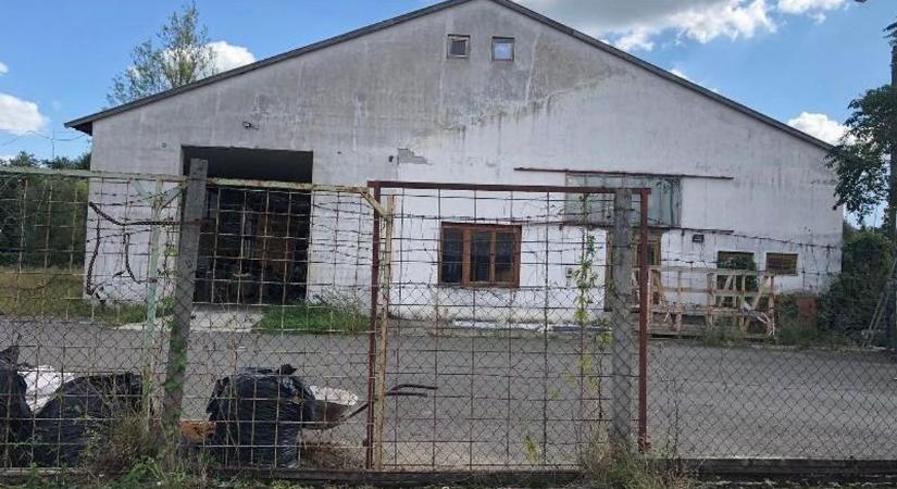 Végrehajtó és árverések a 2550 forintos telektől a 98 milliós fonyódi ajánlatig – hihetetlen különbségeket találtunk