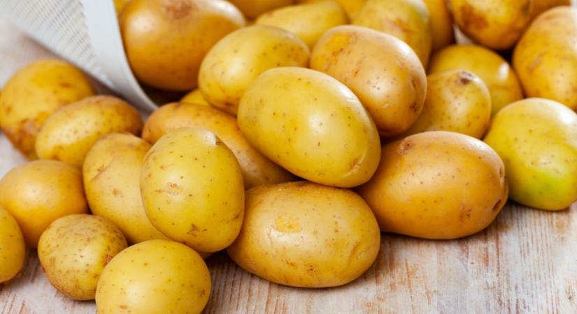 Krumplival a levéltetvek ellen? Bizony!