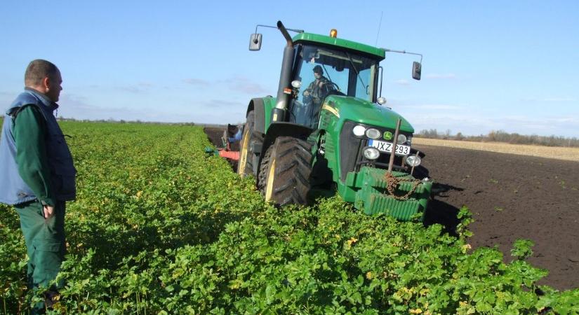 Nem csak a csapadék számít – fontos elem tűnt el a magyar földekből