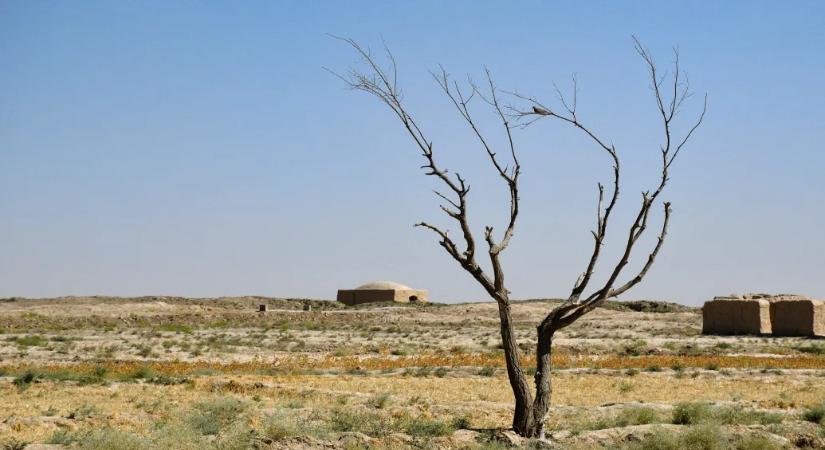 Vége lehet az éghajlati korszaknak, amiben felvirágzott az emberi civilizáció, és ez is a klímaváltozás miatt van