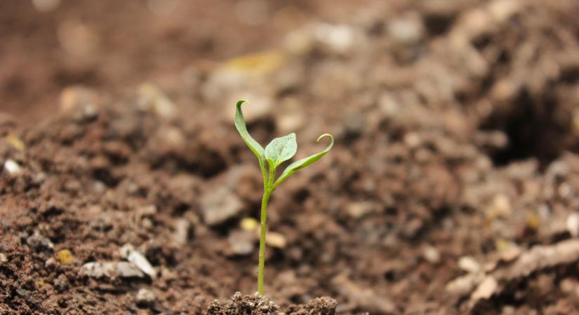 Új talajkezelési módszer a láthatáron