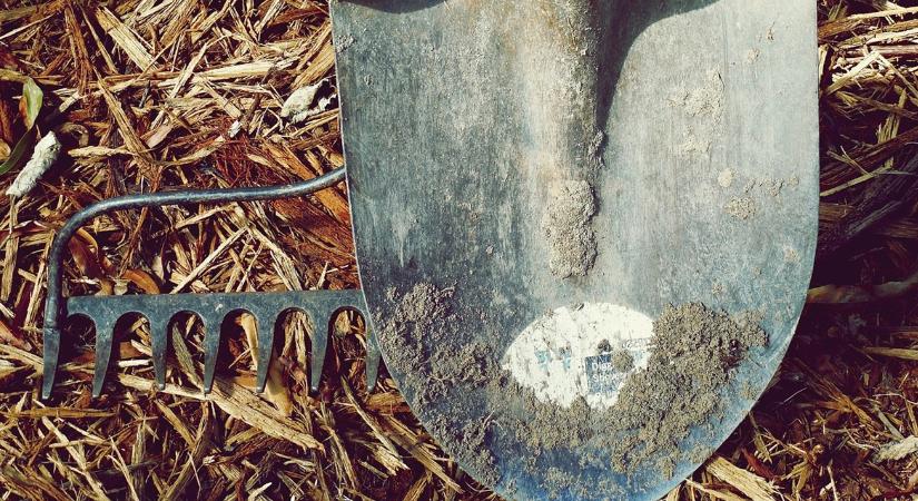 Hirtelen enyhülés jön? 10 perces kertellenőrző lista