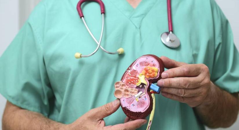 A veseleállás 4 tünete: orvos mondta el, hogy miket kell komolyan venni