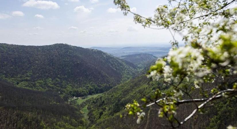 Tavaszias fordulat a tél utolsó hetében