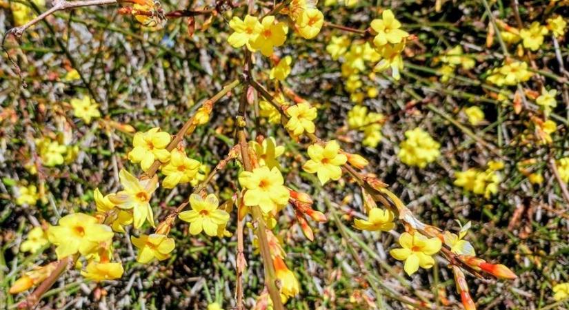 Változékony, csapadékos idő várható – északon tartós felhőzettel