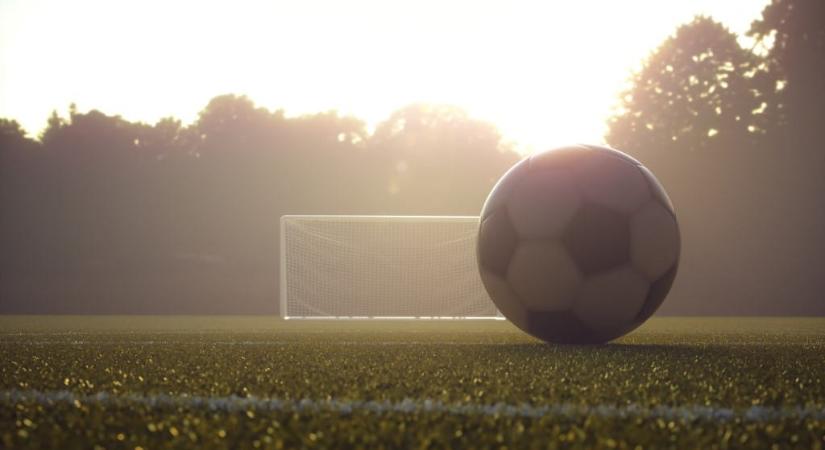 Eltiltanák a meccsre járástól a biztonsági őrökkel dulakodó drukkert