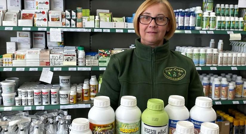 Jótanácsok a növényorvostól kertészkedőknek: Metszések, tavaszi lemosó permetezések ideje is eljött