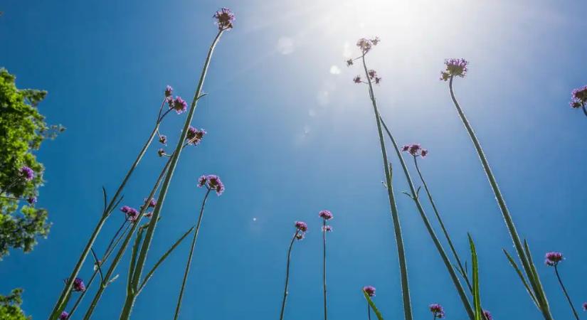 Kedden még eshet, de szerdától igazi tavaszias idő várható
