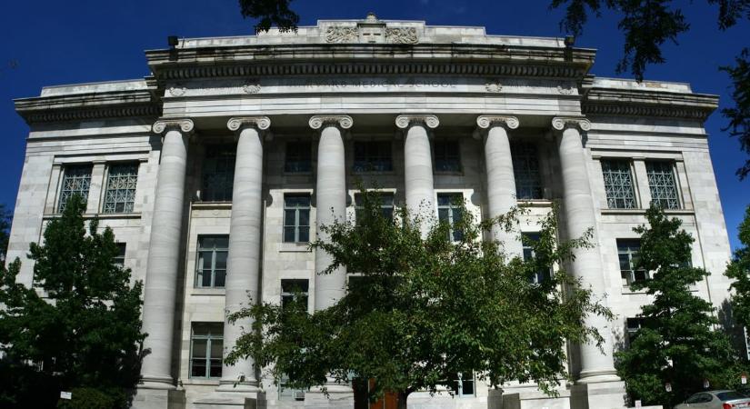 150 millió forintból indul a Semmelweis-Harvard program