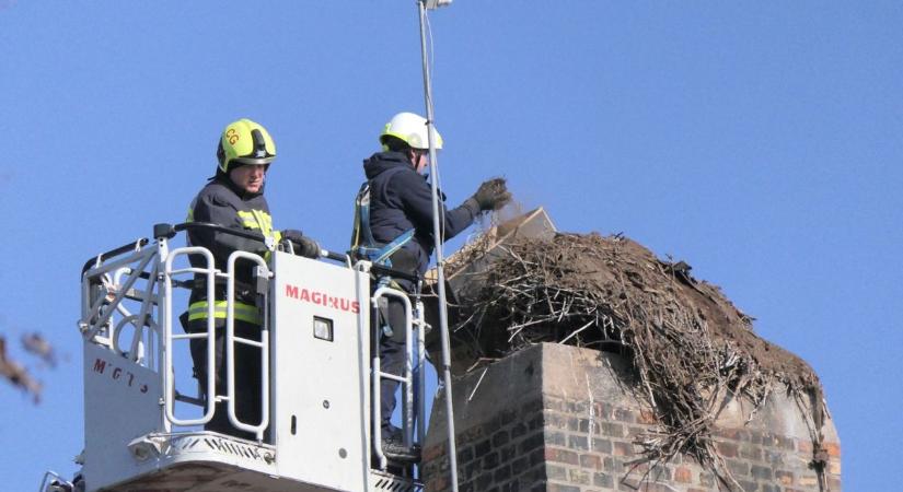 Már szerelték az új fészket, amikor megjelent a gólya – ezt senki sem várta