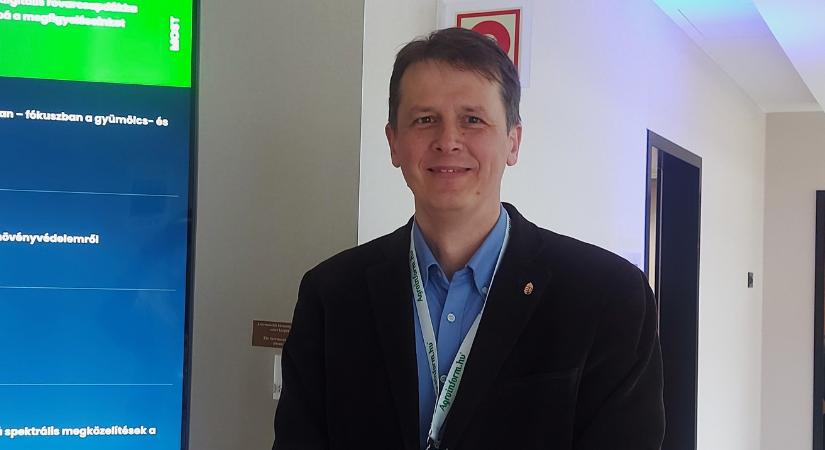 100% kárról 5% alá: módszer a dióburok-fúrólégy ellen