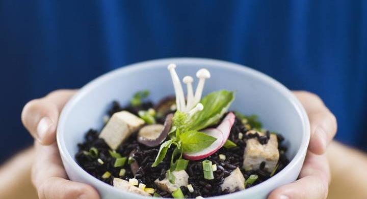 Fehérje hús nélkül: mítoszok és valóság a húsmentes táplálkozásról