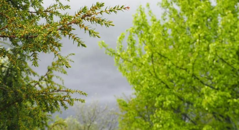 Ez már a tavasz vagy túl korán örülünk?