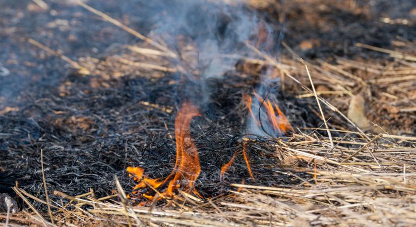 Sok termelő maradt takarmány nélkül: rengeteg széna megsemmisült