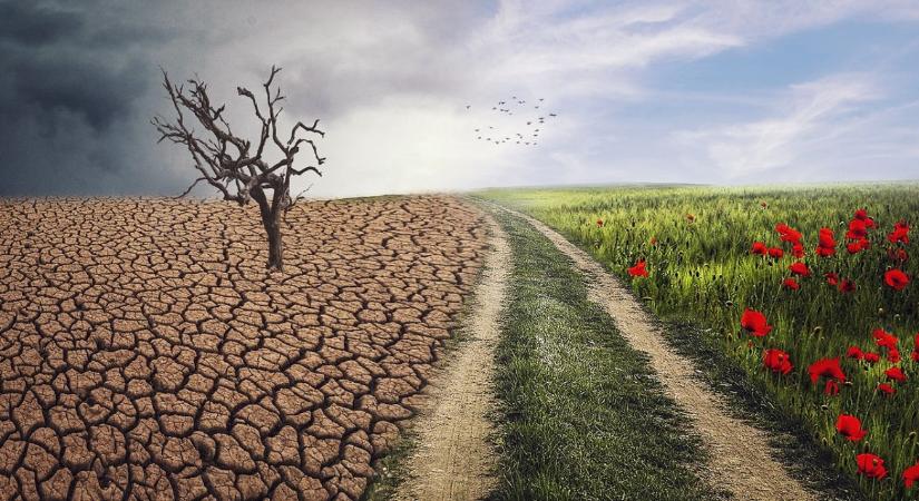 A kutatók szerint ez már nem sci-fi: Olyan korszak jön, amit ember még nem látott