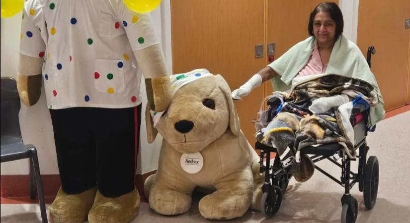 Megnyalta a kutyája: mind a négy végtagját amputálni kellett a nőnek