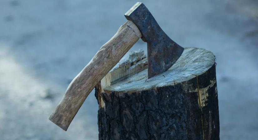 Németországig menekült a budafoki baltás rabló, de ott is utolérték