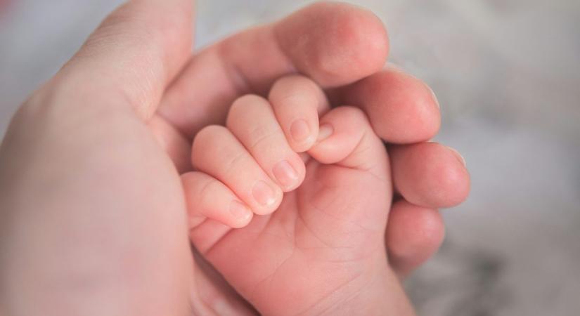 Csodának nevezik az orvosok: elhunyt donor méhével született baba először Nagy-Britanniában