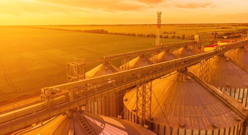 Gabonatárolóba szorult és meghalt egy négygyermekes apa