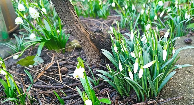 Változékony idő, borúval, kevés napsütéssel – Itt számíthatunk durva széllökésre