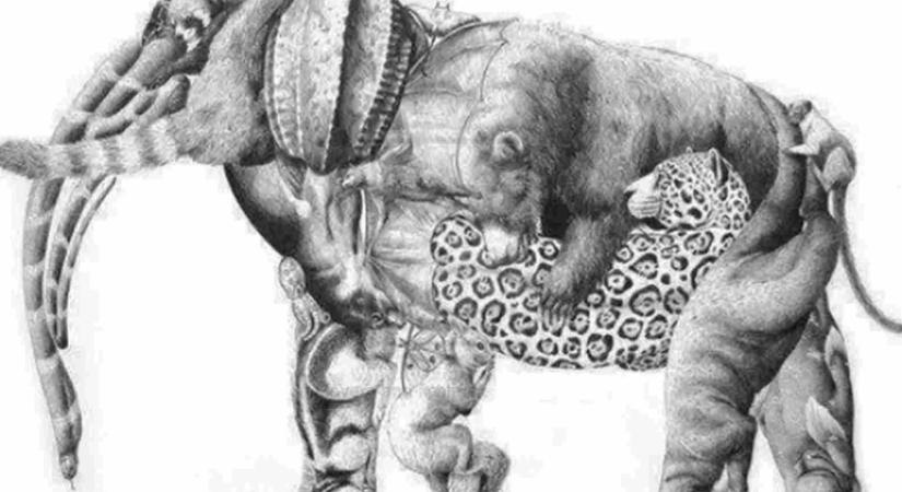 Csak a legélesebb szeműek találják meg mind a 17 állatot 15 másodperc alatt