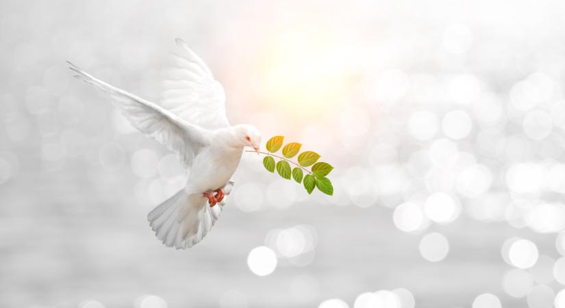 Támadják az Egyházat, mert a béke pártján áll