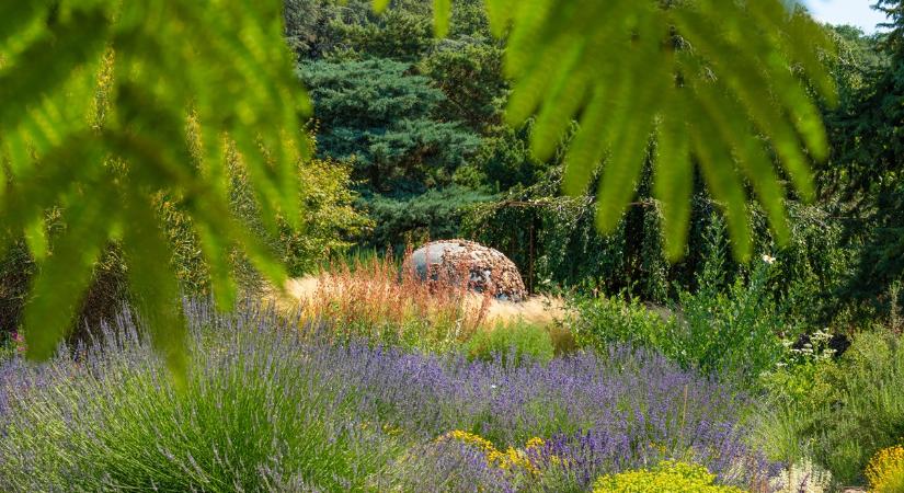 A nők többsége már nem csokorra vágyik nőnapon